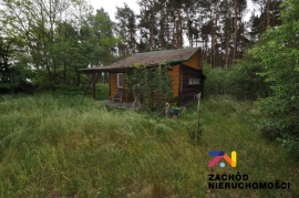 Do wynajęcia działka w Kaczenicach